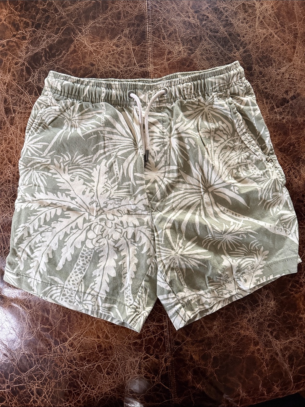 Men's American Eagle Flex Olive & White Elastic-Waist Drawstring Shorts